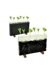 ESPLORA IL SOTTOSUOLO