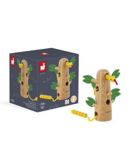 ALBERO DELLE ALLACCIATURE