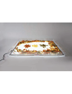 A2 LIGHT PANEL COVER TRAY 2