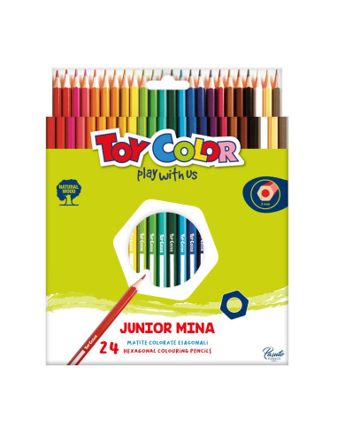 MATITE TOY COLOR 24 COL..