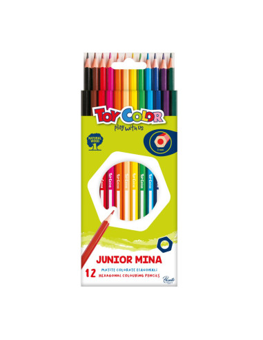 MATITE TOY COLOR 12 COL..