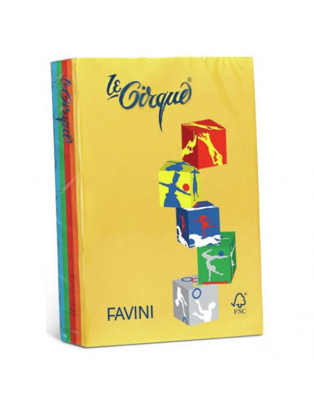 RISMA LE CIRQUE FG.500 A4 GR.80 5 COL. FORTI