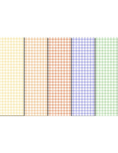 CARTONCINO A QUADRETTI FG.10 CM.23X33 GR.300 5 COL. ASS.