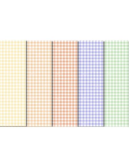 CARTONCINO A QUADRETTI FG.10 CM.23X33 GR.300 5 COL. ASS.