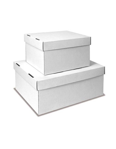 CARTONE\SCATOLA PZ.10 CM.31X23X14H BIANCO