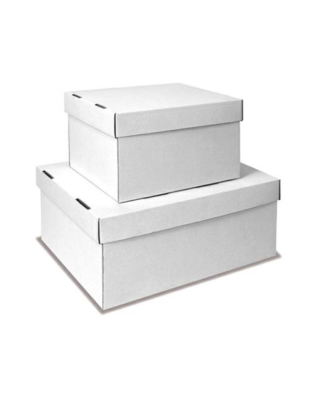 CARTONE\SCATOLA PZ.10 CM.31X23X14H BIANCO