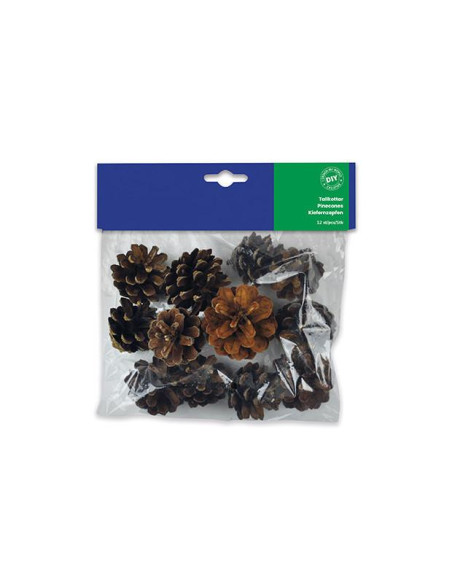 LEGNO\PIGNE ASS. PZ.125.