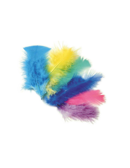 PIUME BUSTA PZ.80 CM.15/16 GR.10 COL. ASS