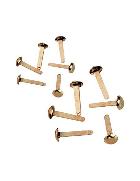 FERMACAMPIONI LEONE ASS. GR.150.