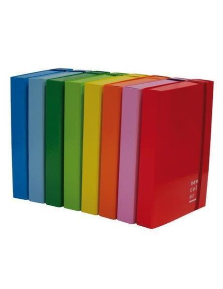 CART/PORTAPROGETTI CON ELASTICO25X35 D. 5 CM