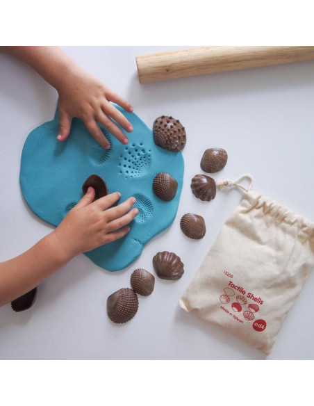 CONCHIGLIE DIVERTENTI