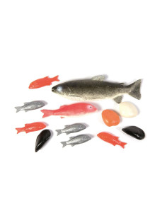 BUSTA PESCI PZ. 12