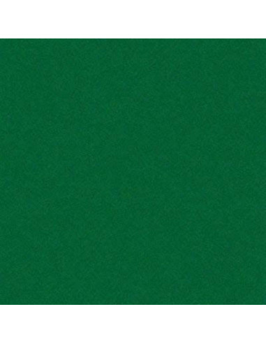 PLASTICA ADESIVA 0,5X3MT VERDE